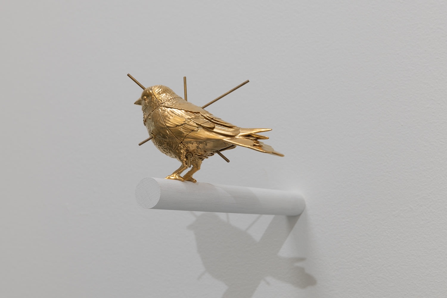 Victor Lim Seaward, Gold Finch, 2023