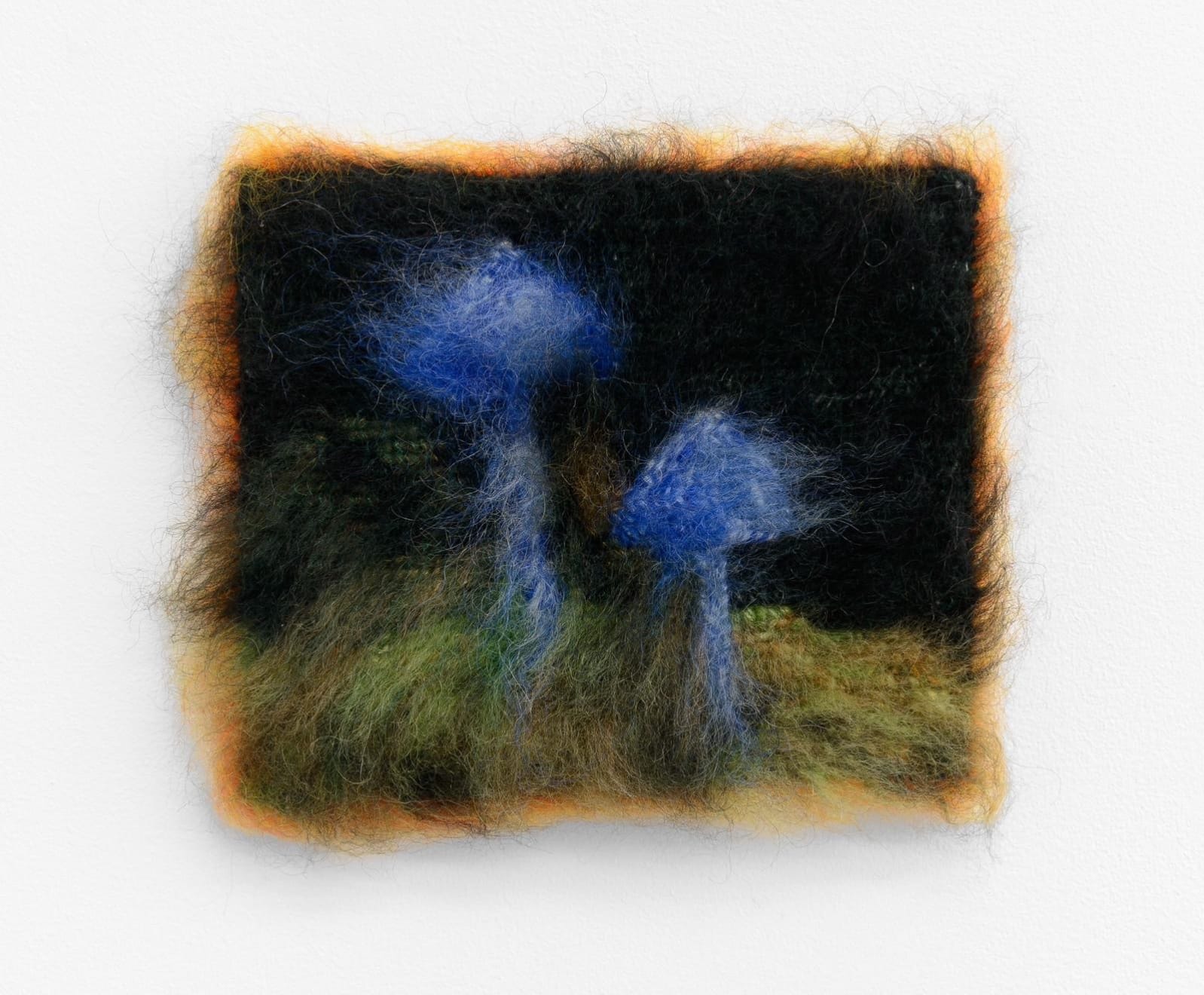 Maria Szakats, Entoloma Hochstetteri, 2024