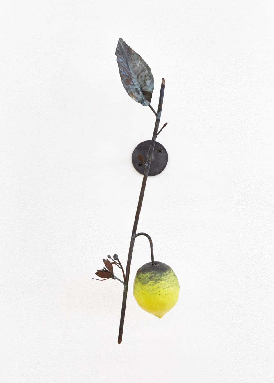 Rob Branigan, Citrus Limon (After A. Stahl), 2019