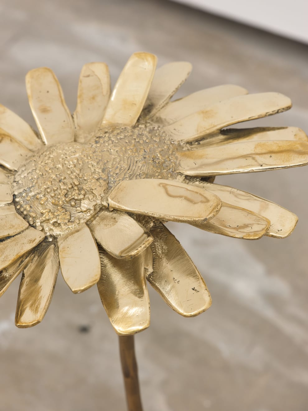 Nona Inescu, Common Daisy (Bellis perennis) IV, 2024