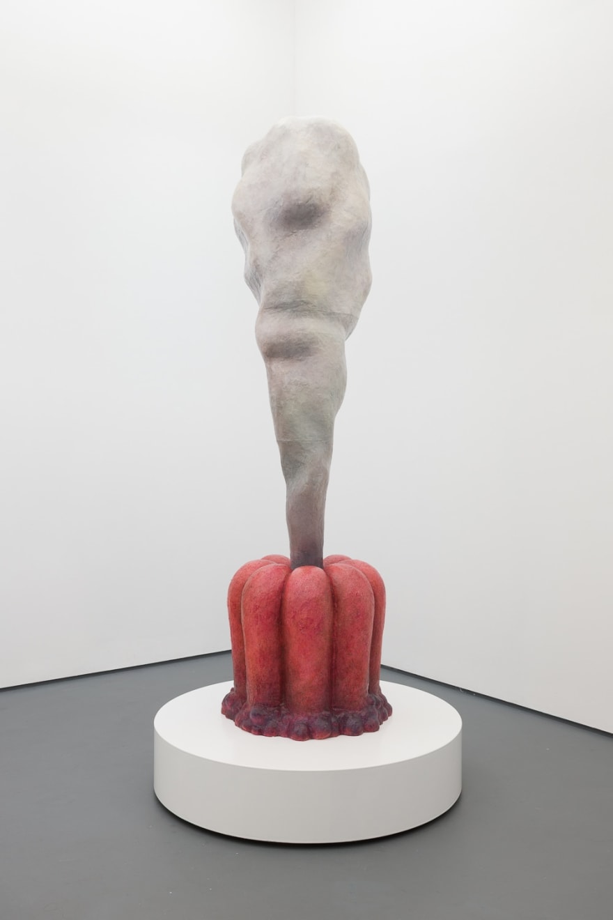 Luisen Zela-Koort, Natural Factories I (Processes for when a Body grows into a Territory), 2025