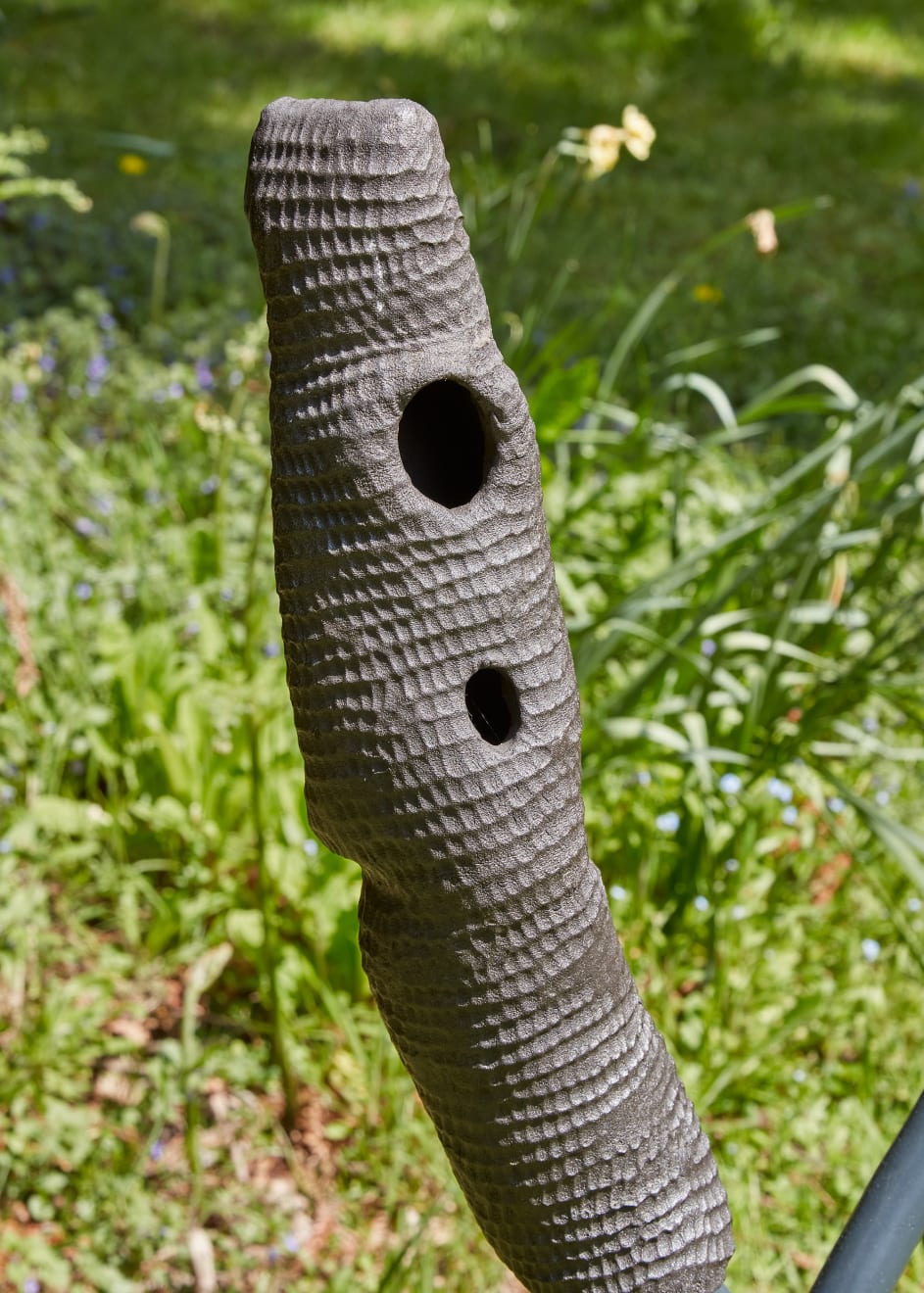 Lucia Pizzani, Ser Vegetal ramas, 2022