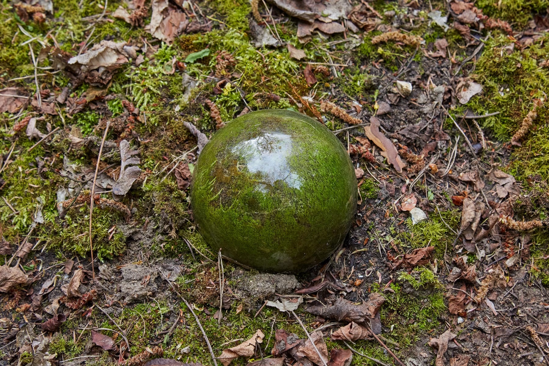 Adeline de Monseignat, Ovum, 2017