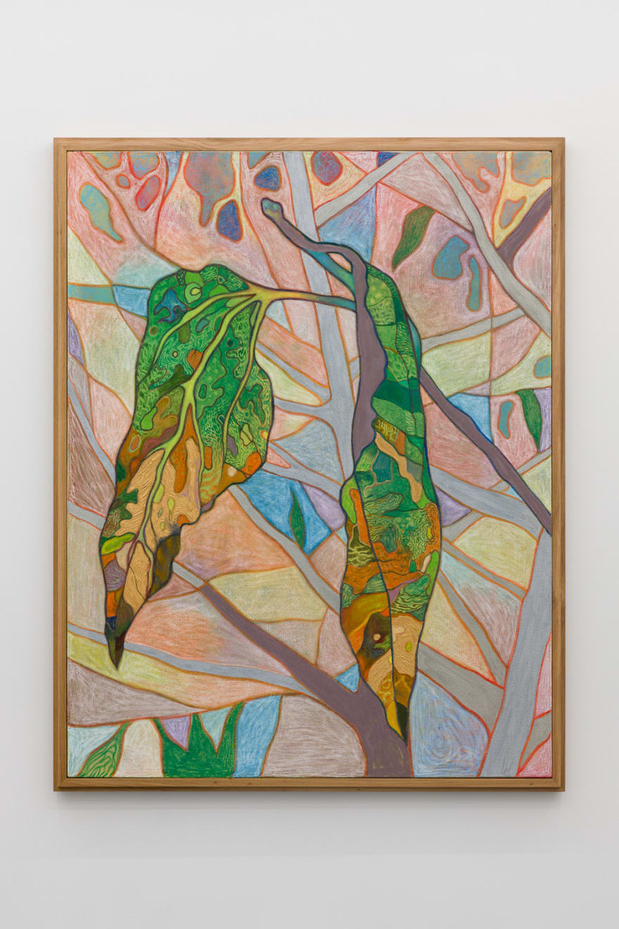 Tom Jean Webb, We are time, 2024