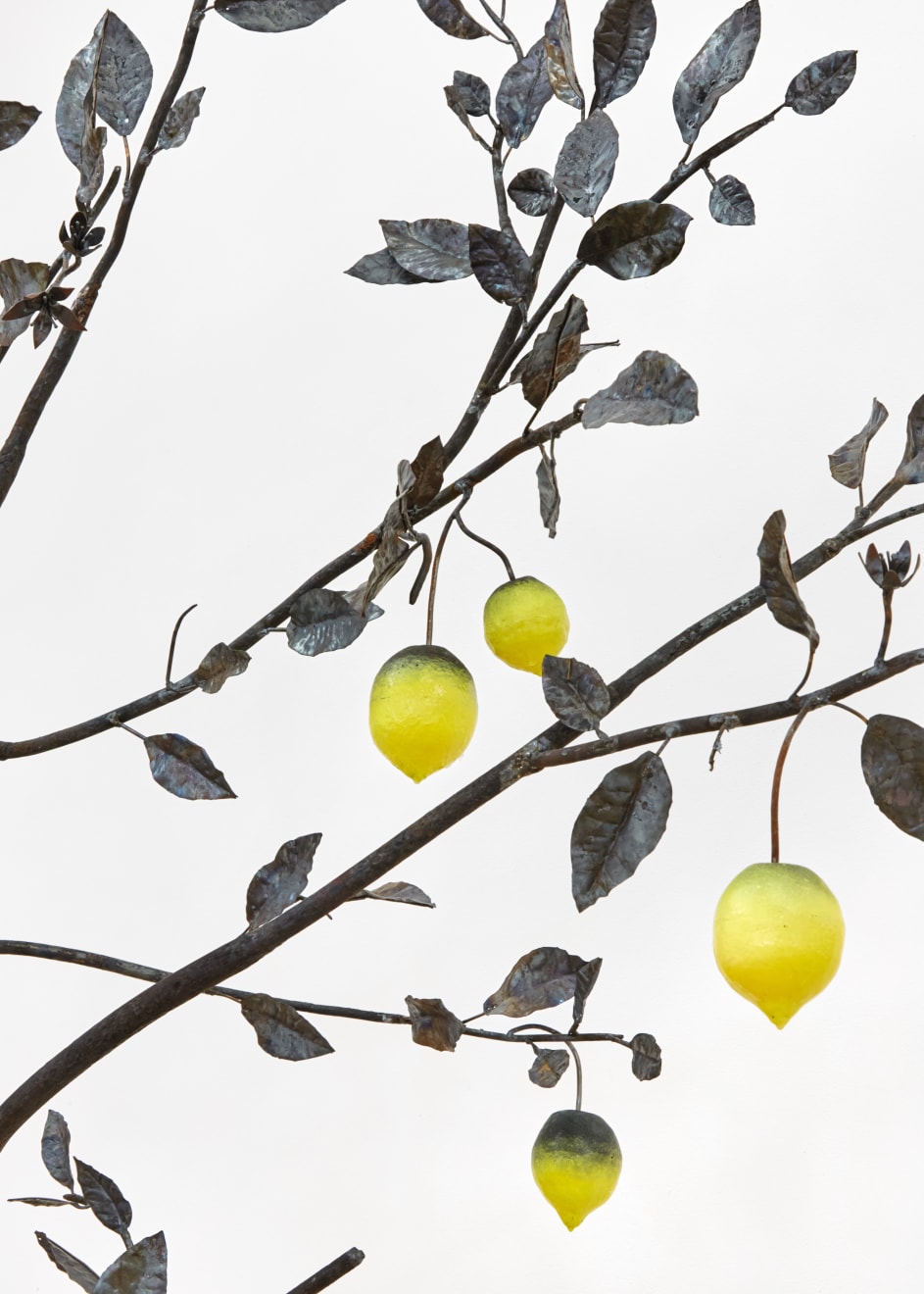 Rob Branigan, Ornamental Crime (After G.D. Ehret), 2019