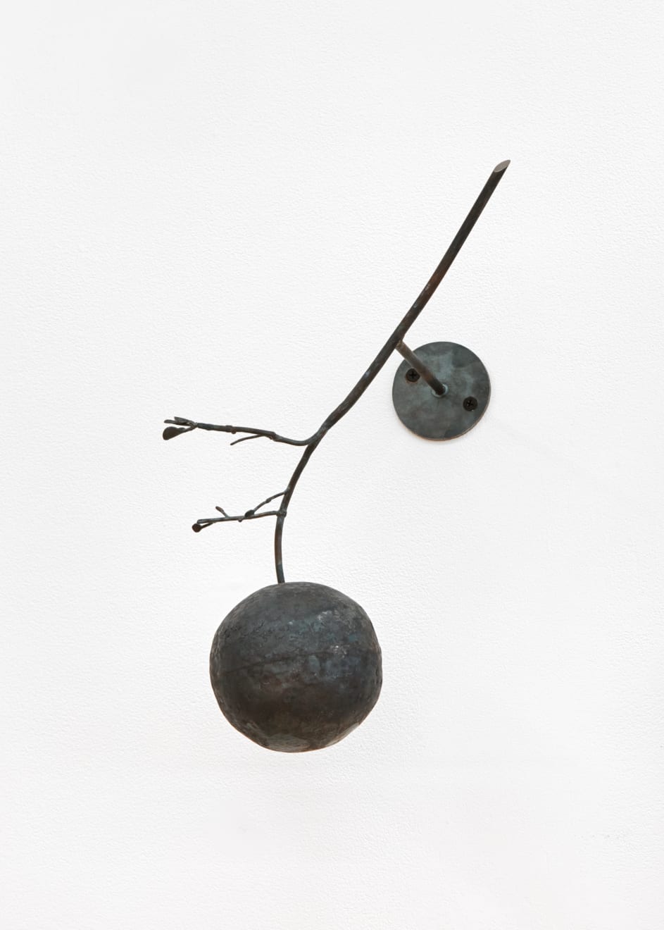 Rob Branigan, Citrus x Paradisi (After Deborah Griscom Pasmore), 2019