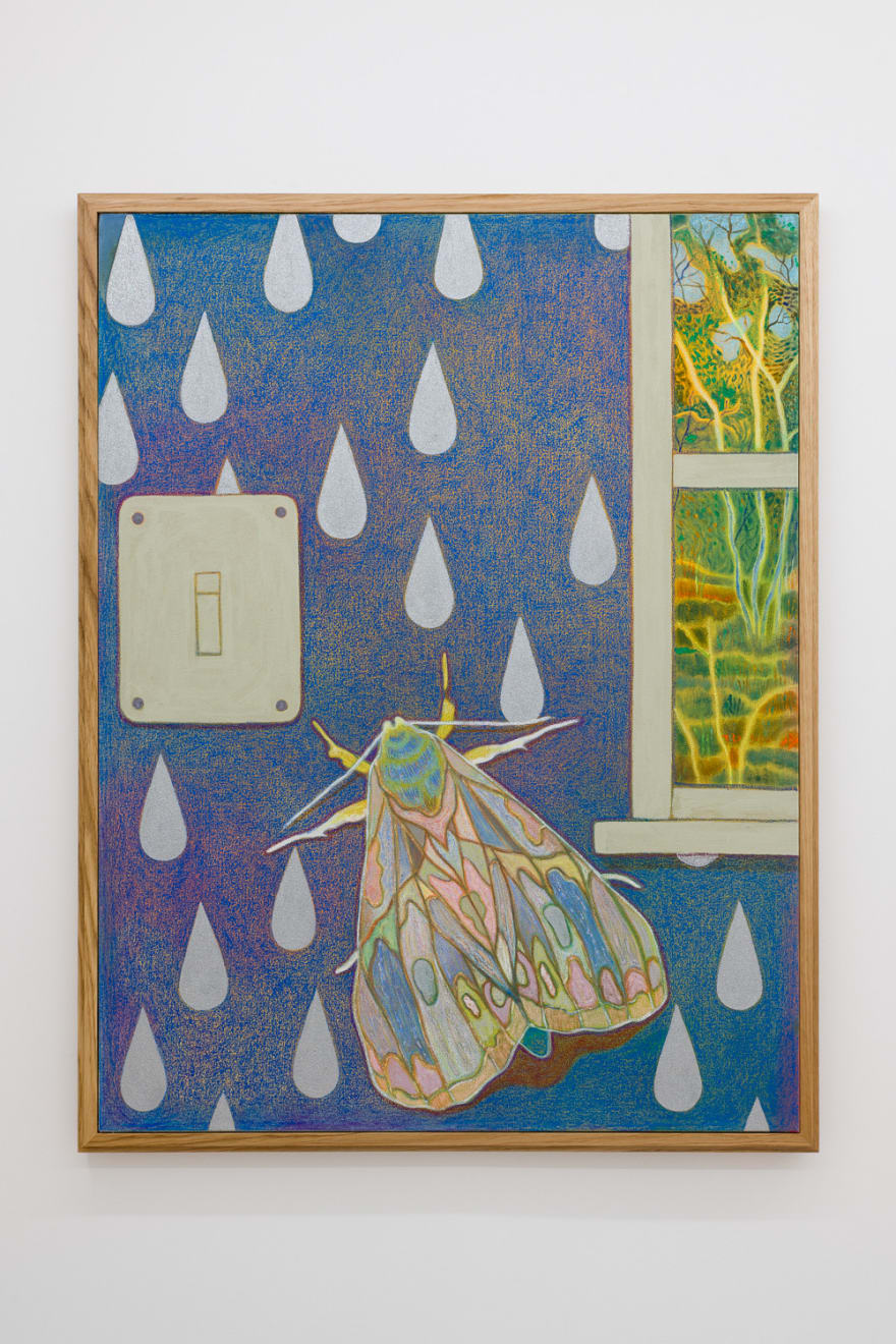 Tom Jean Webb, Our leading light, 2023