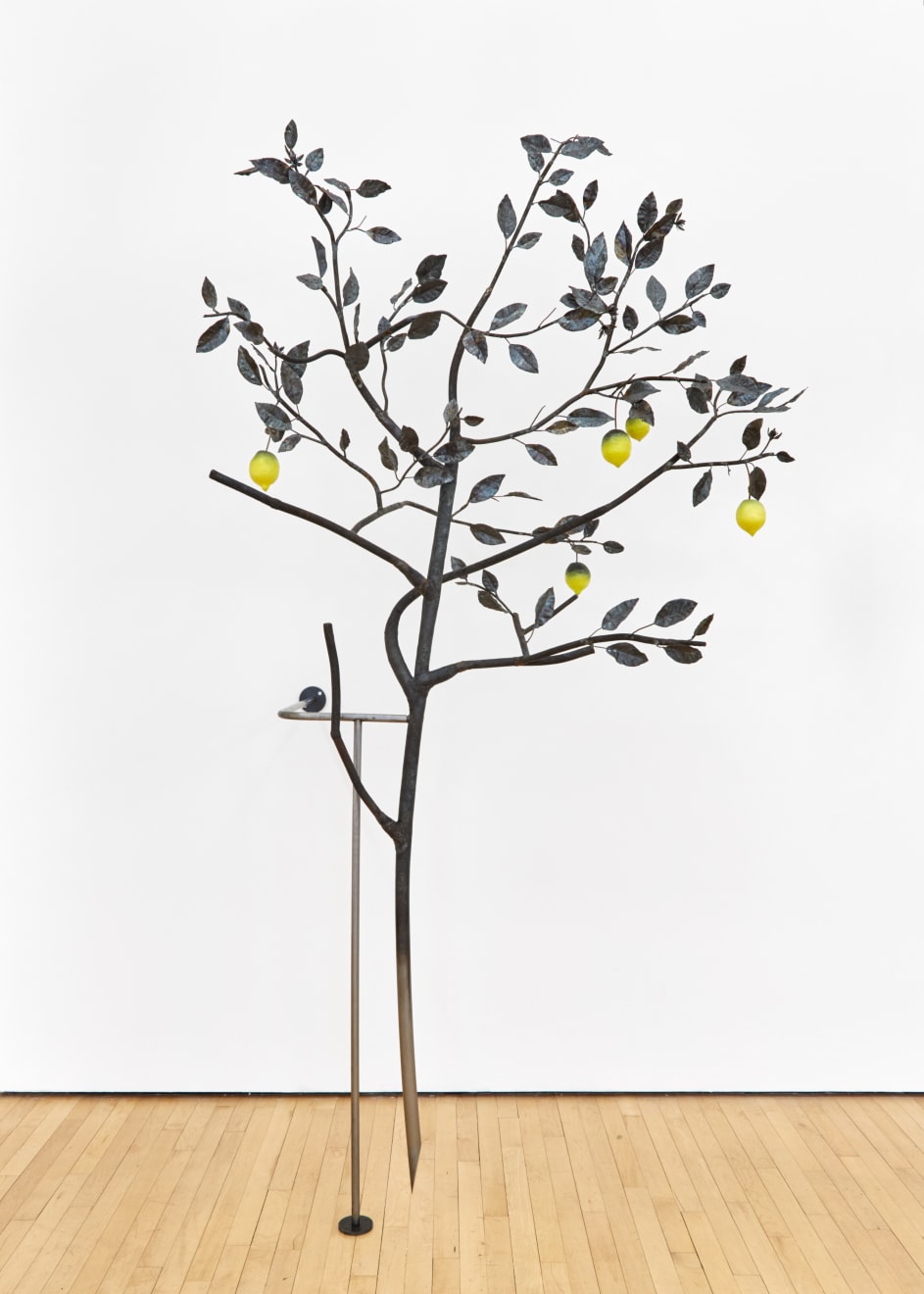 Rob Branigan, Ornamental Crime (After G.D. Ehret), 2019