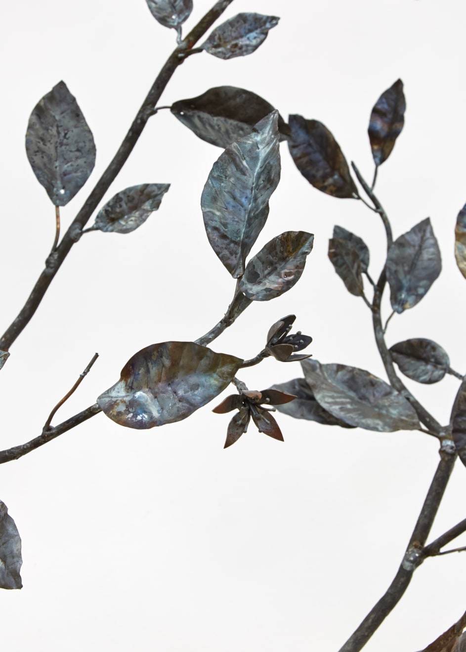 Rob Branigan, Ornamental Crime (After G.D. Ehret), 2019