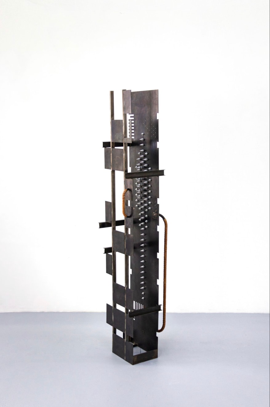 Yeni Mao, fig 39.5 reforma 304, 2024