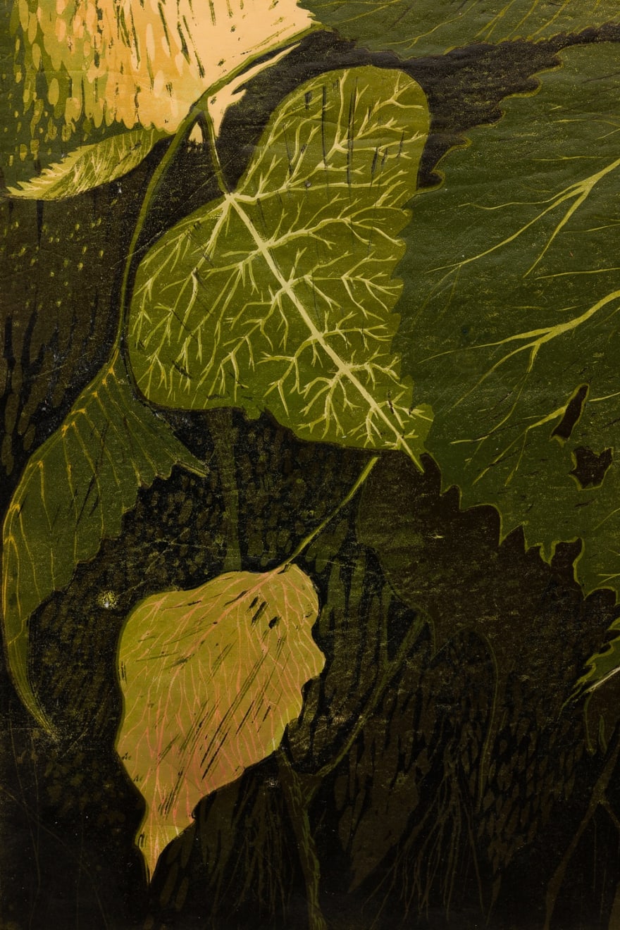 Leaf detail in print by Alexi Marshall