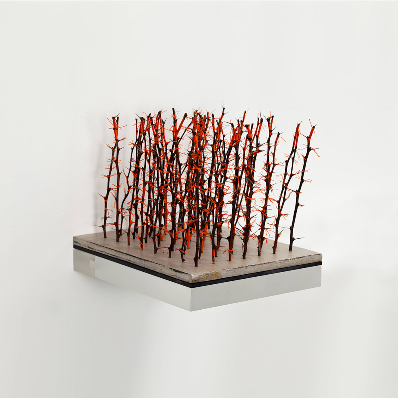 Jin-Sook So, Forest II, 2010