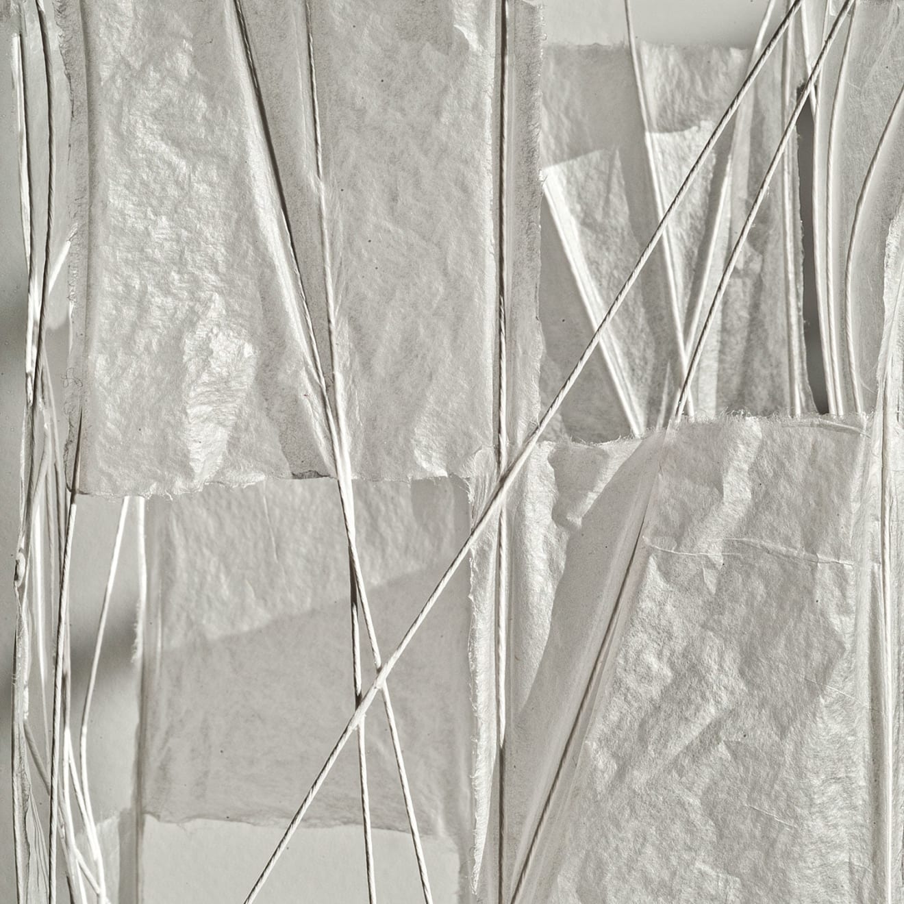 Naomi Kobayashi, Untitled, 2006