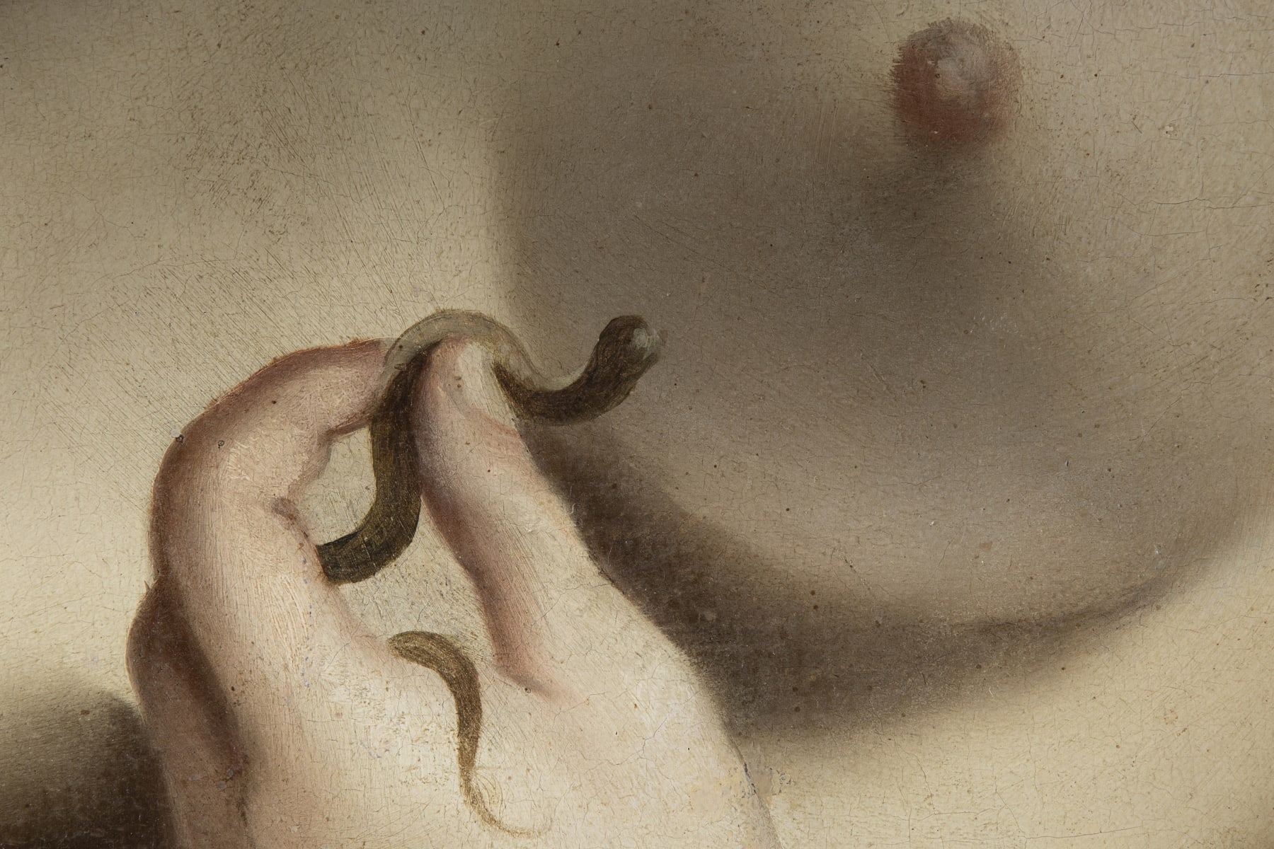 Giovanni Lanfranco, The Suicide of Cleopatra