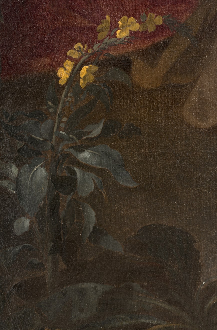 Salomon Adler, Portrait of a noble woman with a dark servant and a dog