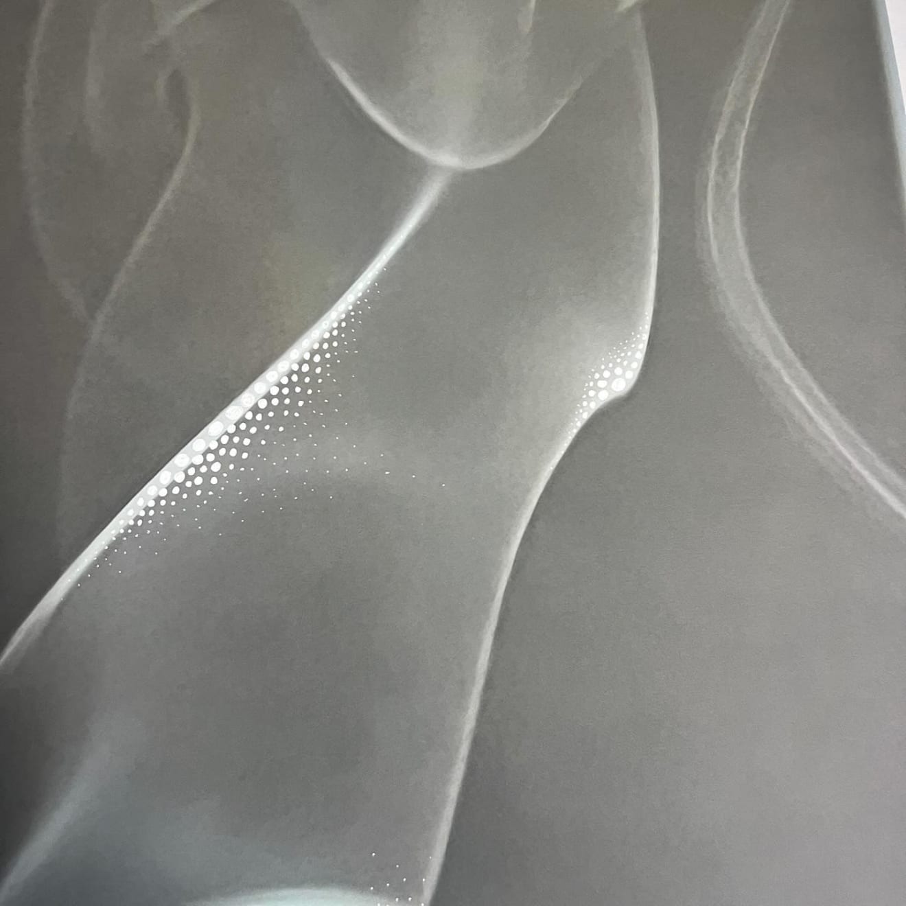 Catherine Detraves, Ascension, 2024