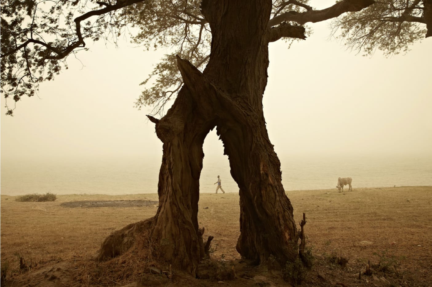 François-Xavier Gbré, Balazan, Ségou, Mali, 2012