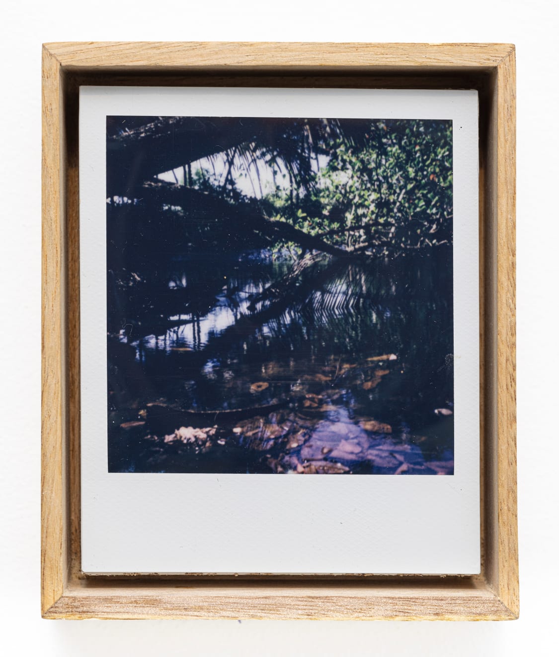 Fanny Irina, Chimères de la lagune (lagoon chimera), 2023