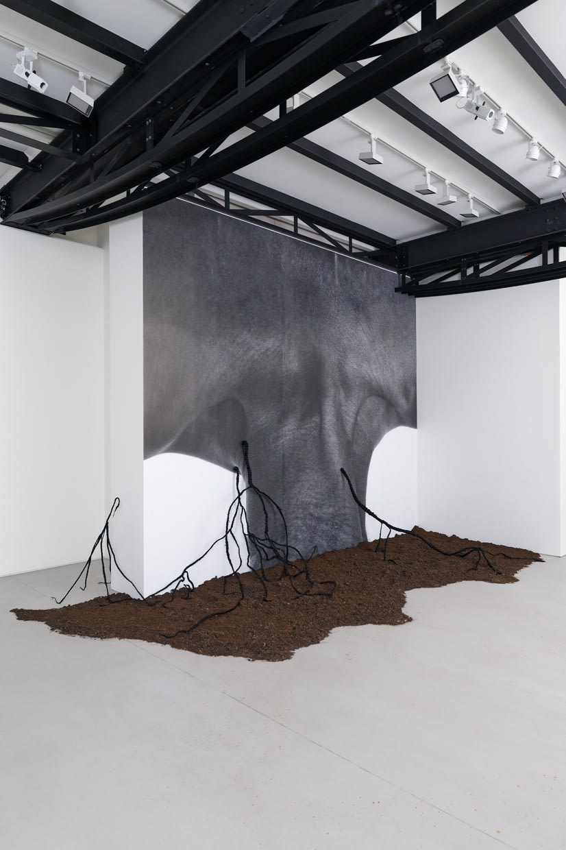 Binta Diaw, Paysage corporel (Naître au monde, c’est concevoir (vivre) enfin le monde comme relation), 2023