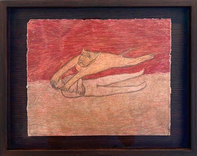 Fanny Irina, Survole, 2022