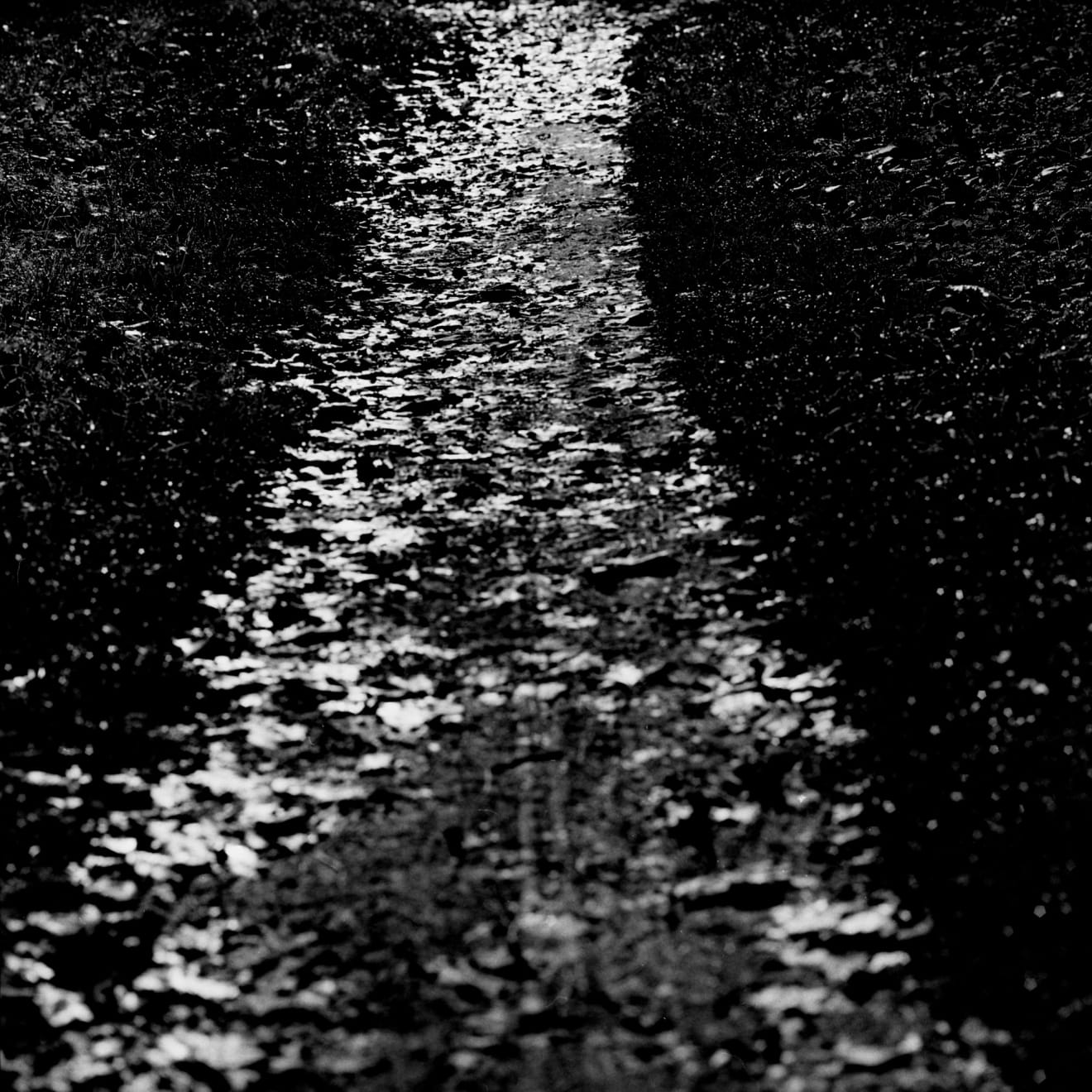 Yo-Yo Gonthier, La voie gelée, 2016