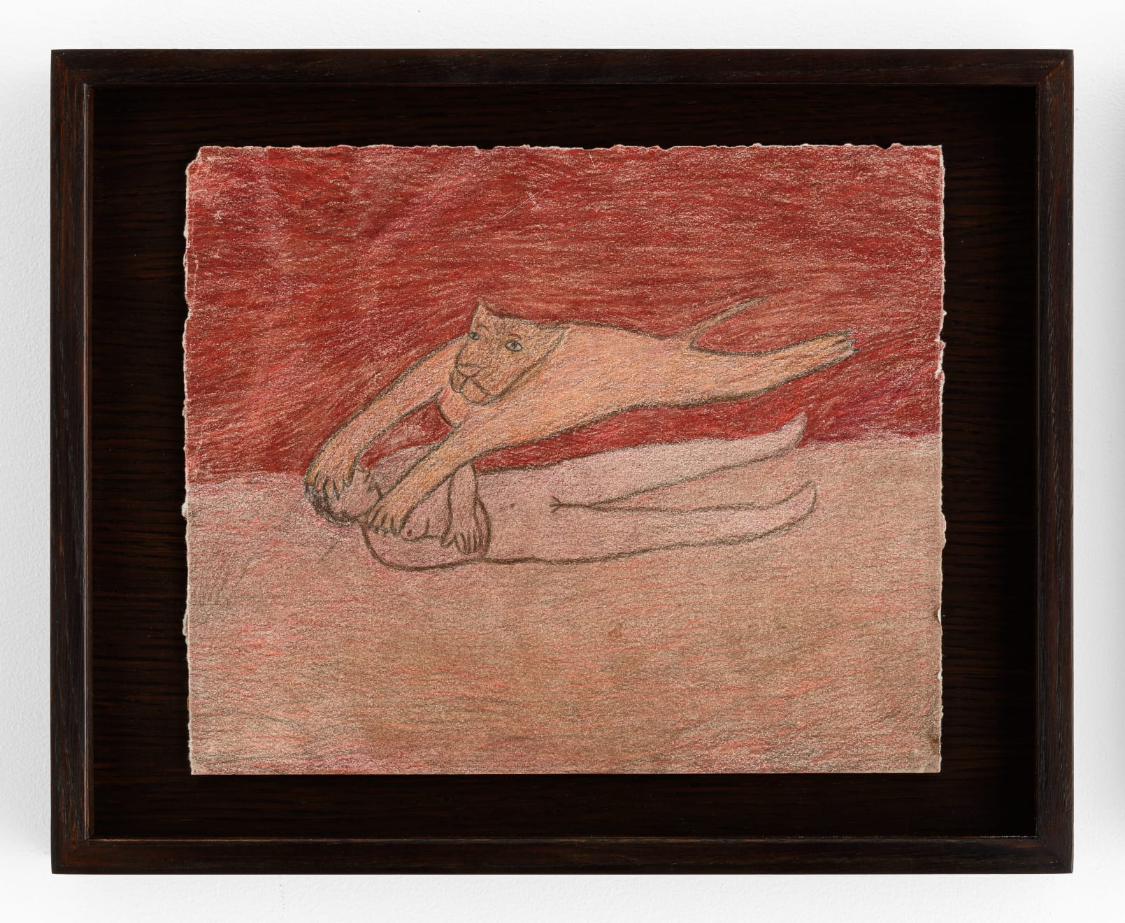 Fanny Irina, Survole, 2022