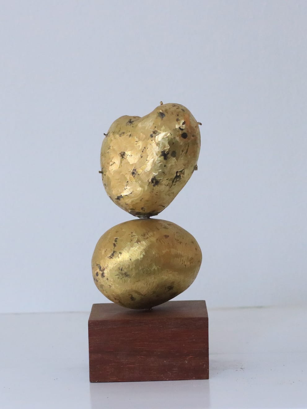 Rachel Marsil, Corossol sur mangue #1, 2024