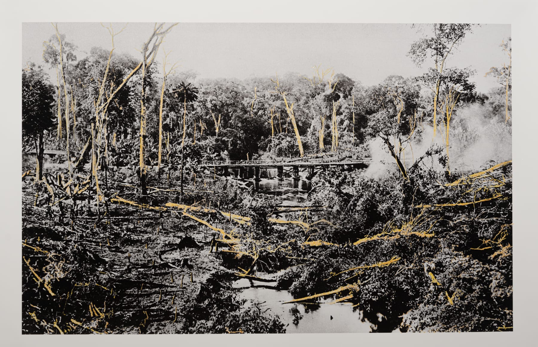 Dimitri Fagbohoun, In the Heart of Darkness, 2022