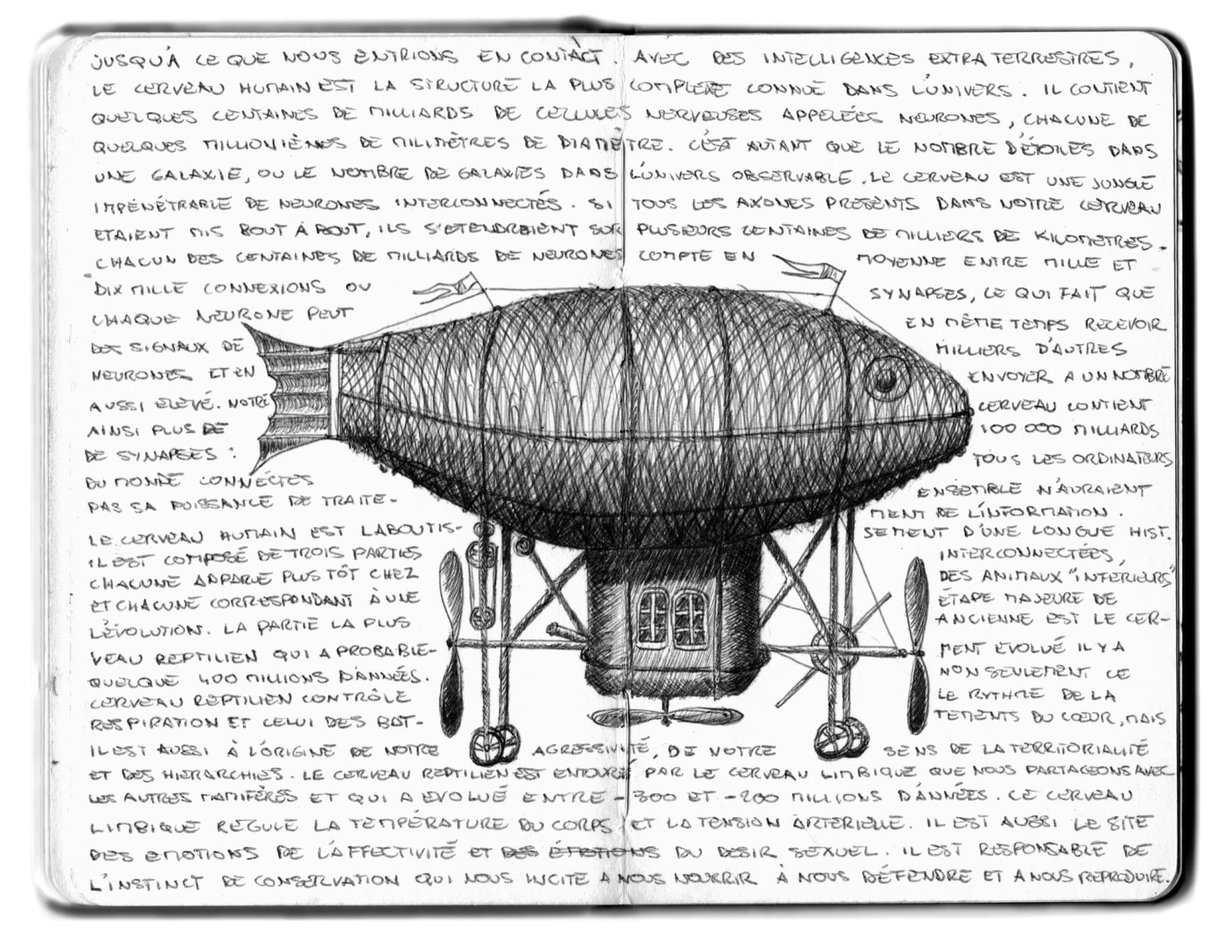 Yo-Yo Gonthier, Le Poisson volant, 2008