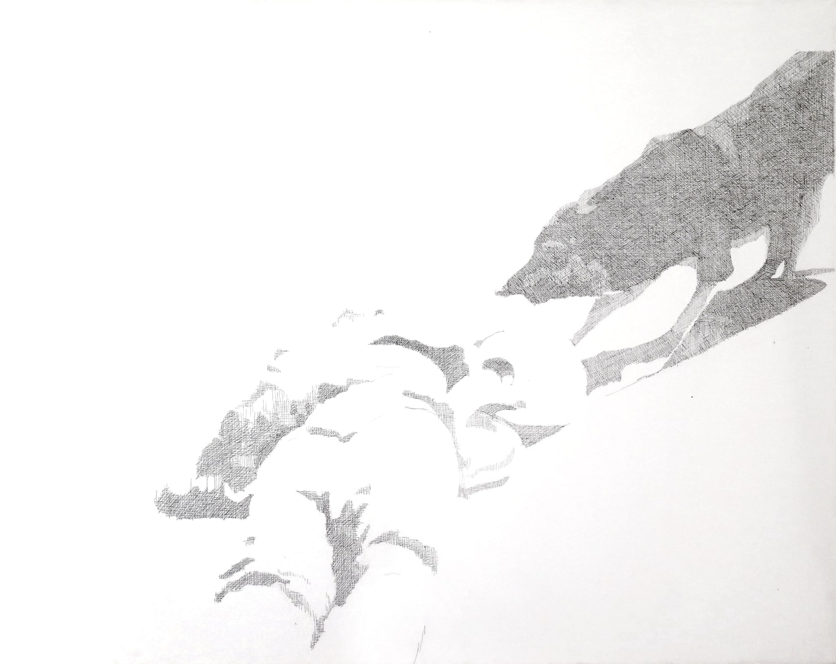 Dalila Dalléas Bouzar, Untitled #3, série Algérie Année 0, 2012