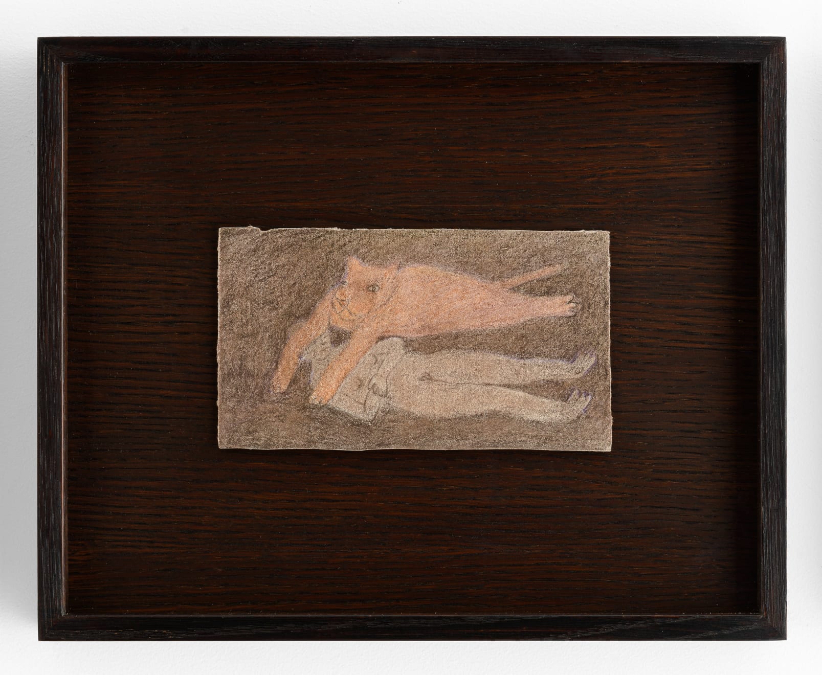 Fanny Irina, Lionne survole, 2022