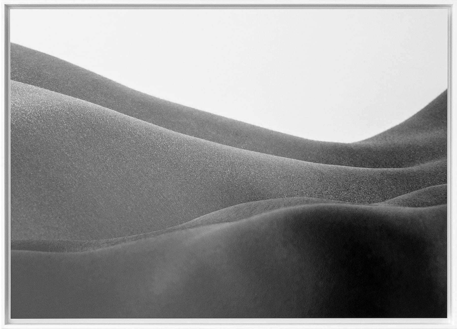 Binta Diaw, Nature II, 2023