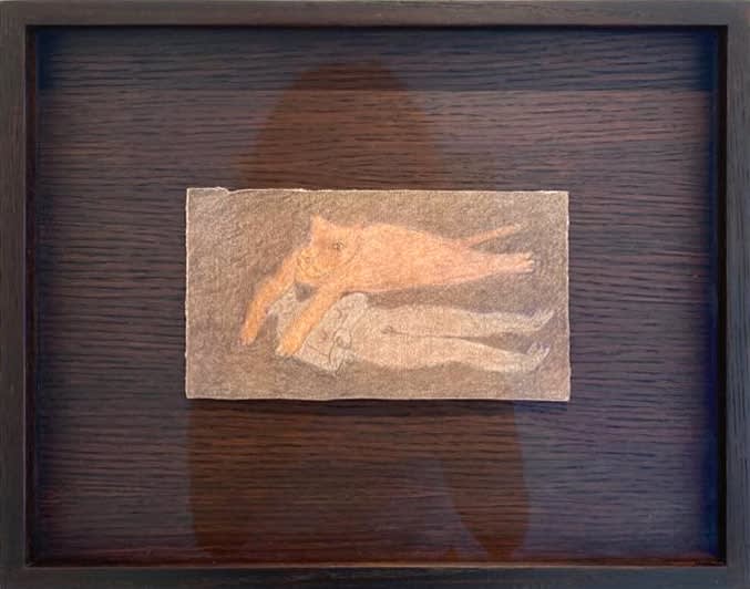 Fanny Irina, Lionne survole, 2022