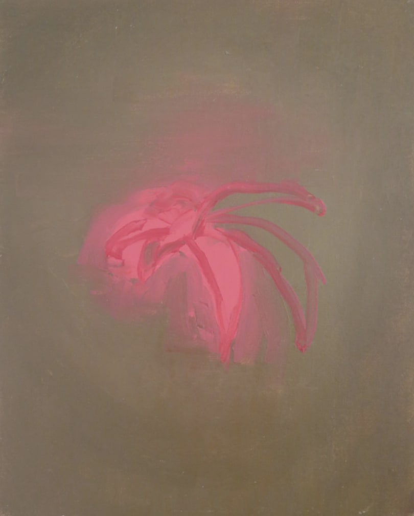 Dalila Dalléas Bouzar, Untitled #3, série Flowers, 2015