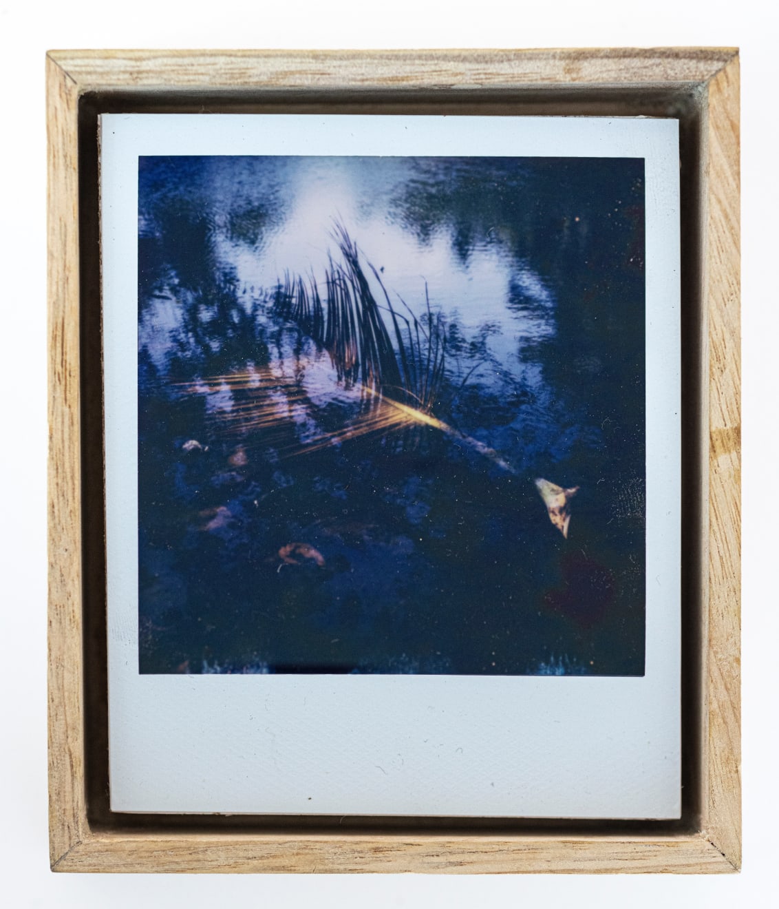 Fanny Irina, Chimères de la lagune (lagoon chimera), 2023