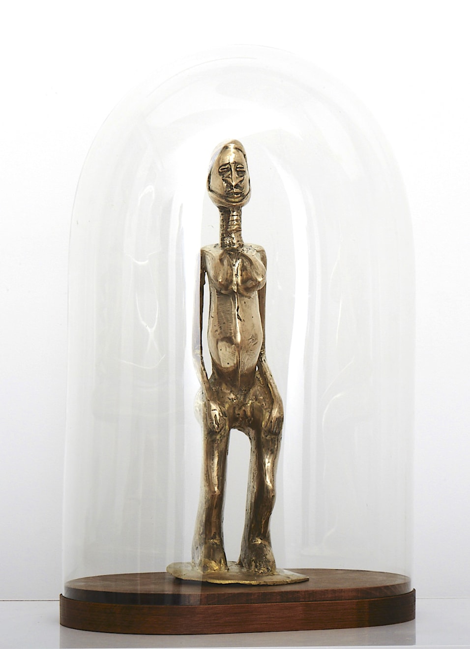 Dimitri Fagbohoun, When Paul meets Charles, Série Microcosmos II, 2018