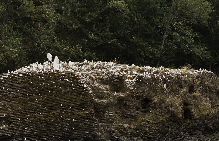 Yo-Yo Gonthier, L'ile aux fantômes, Les vivants #2, installation, 2019