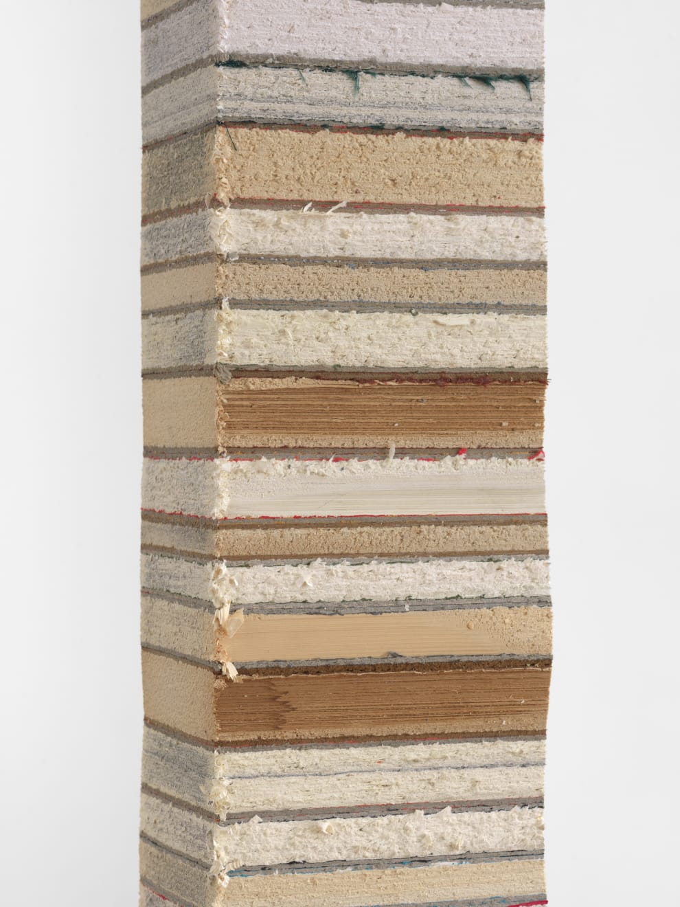 Jared Bark, Book Cant 13, 2020