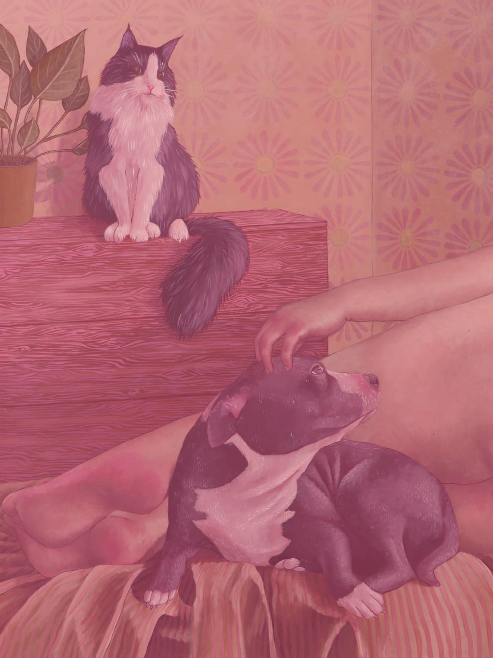 Shona McAndrew, Bedtime, 2023