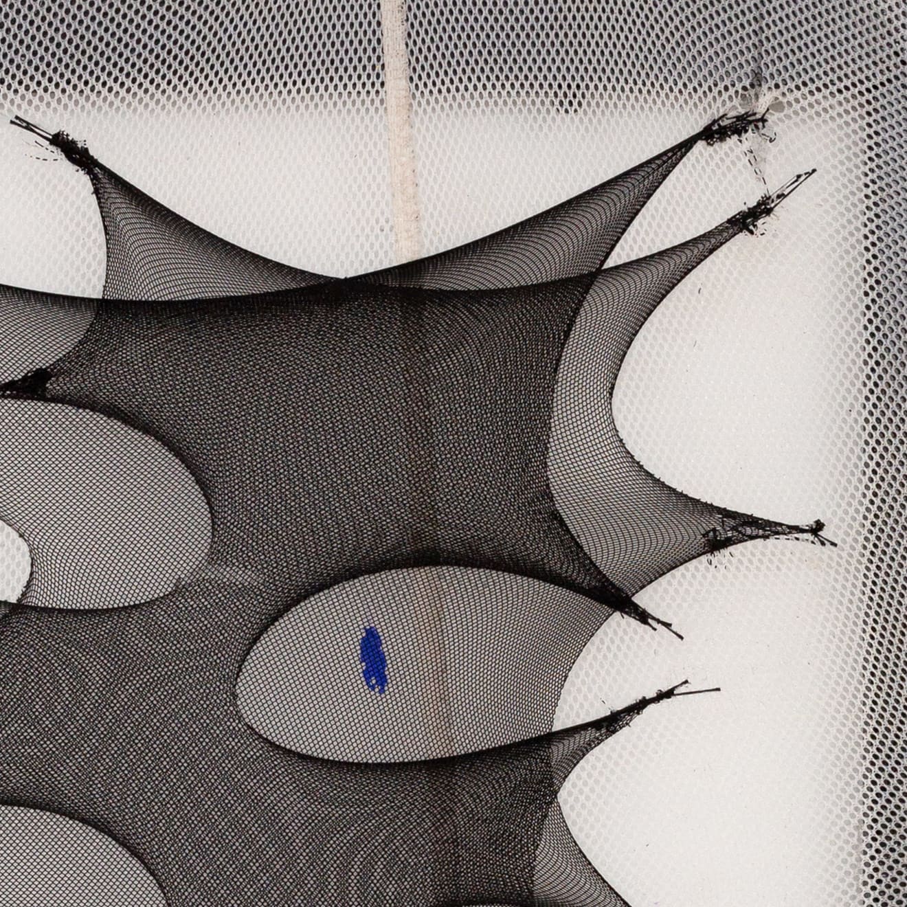 Sam Branden, VAPOR WRAITH, 2024