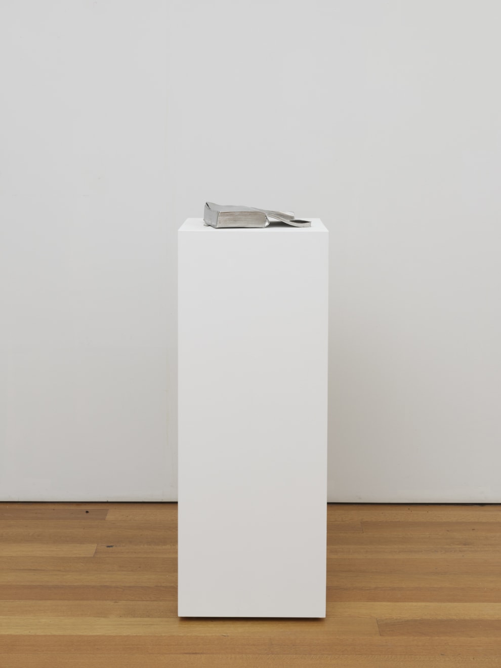 Will Ryman, Book, 2020