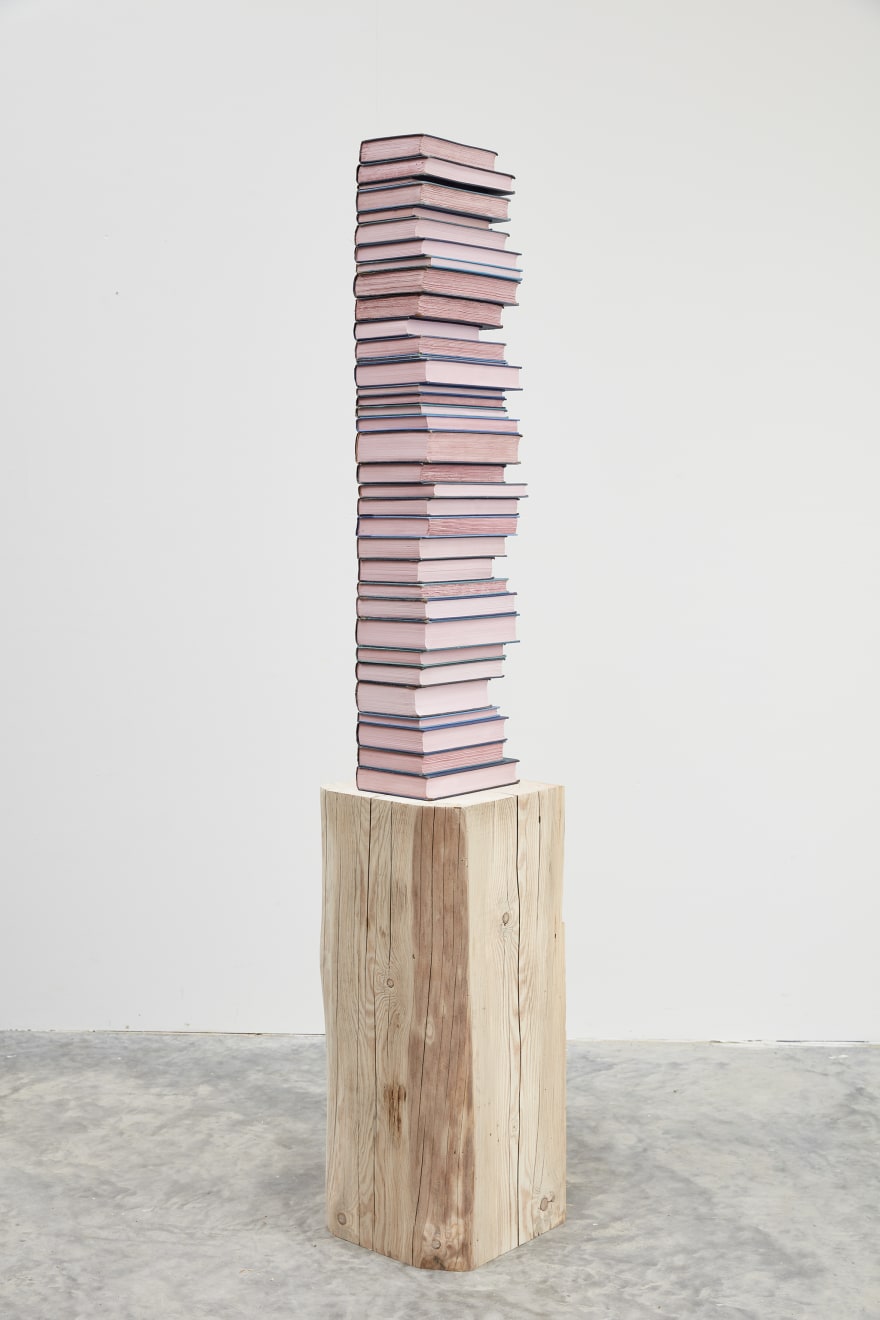 Jared Bark, Blue/Pink Book Stack, 2018
