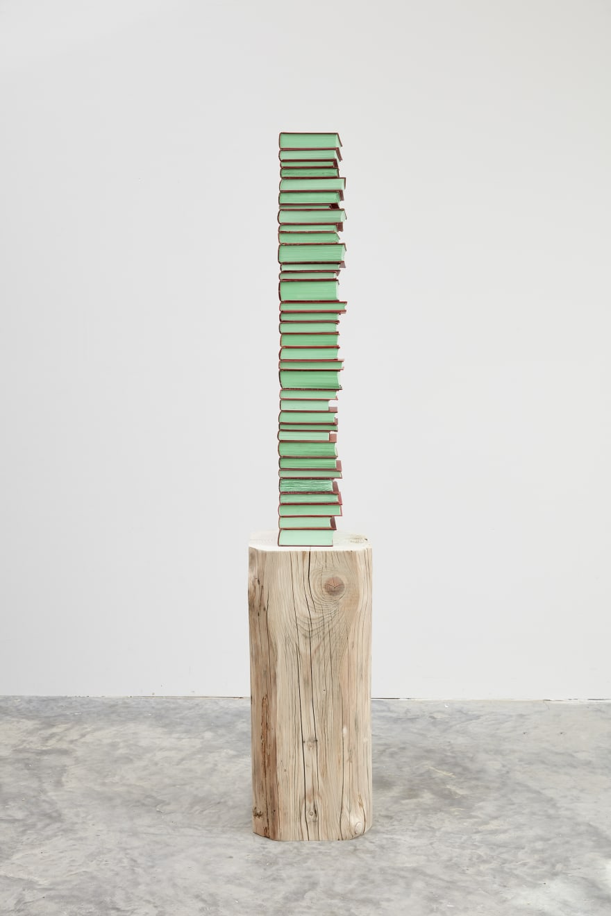 Jared Bark, Red/Green Book Stack, 2018