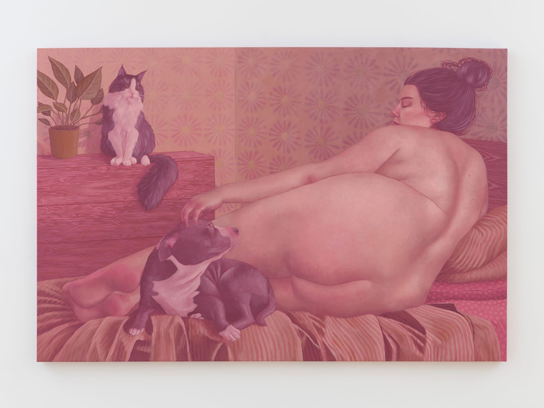 Shona McAndrew, Bedtime, 2023