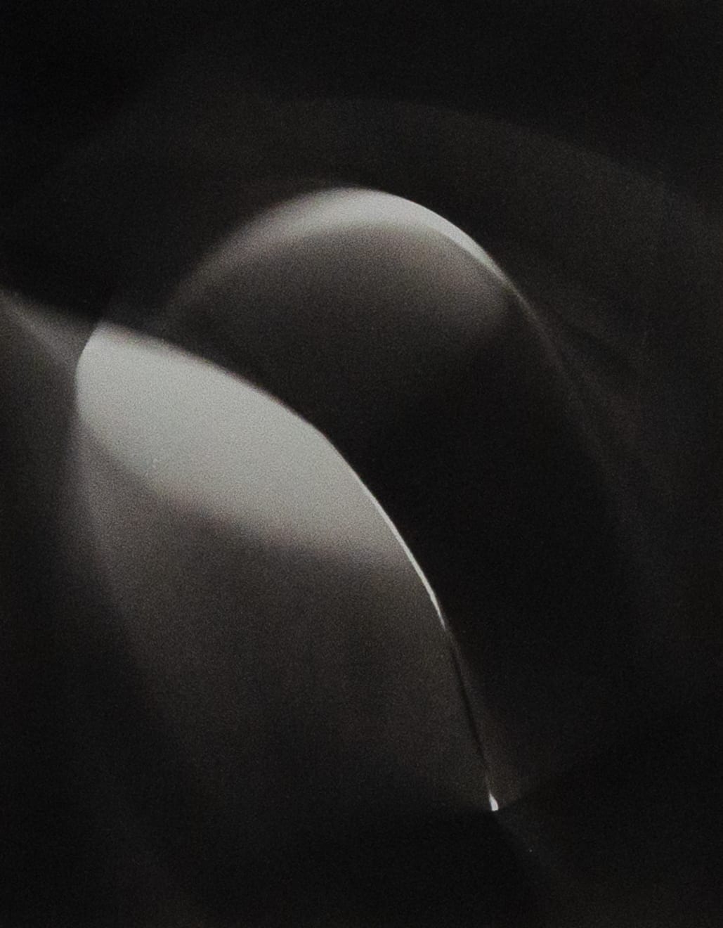 Theodore Roszak (1907-1981), Photogram, 1937-1939