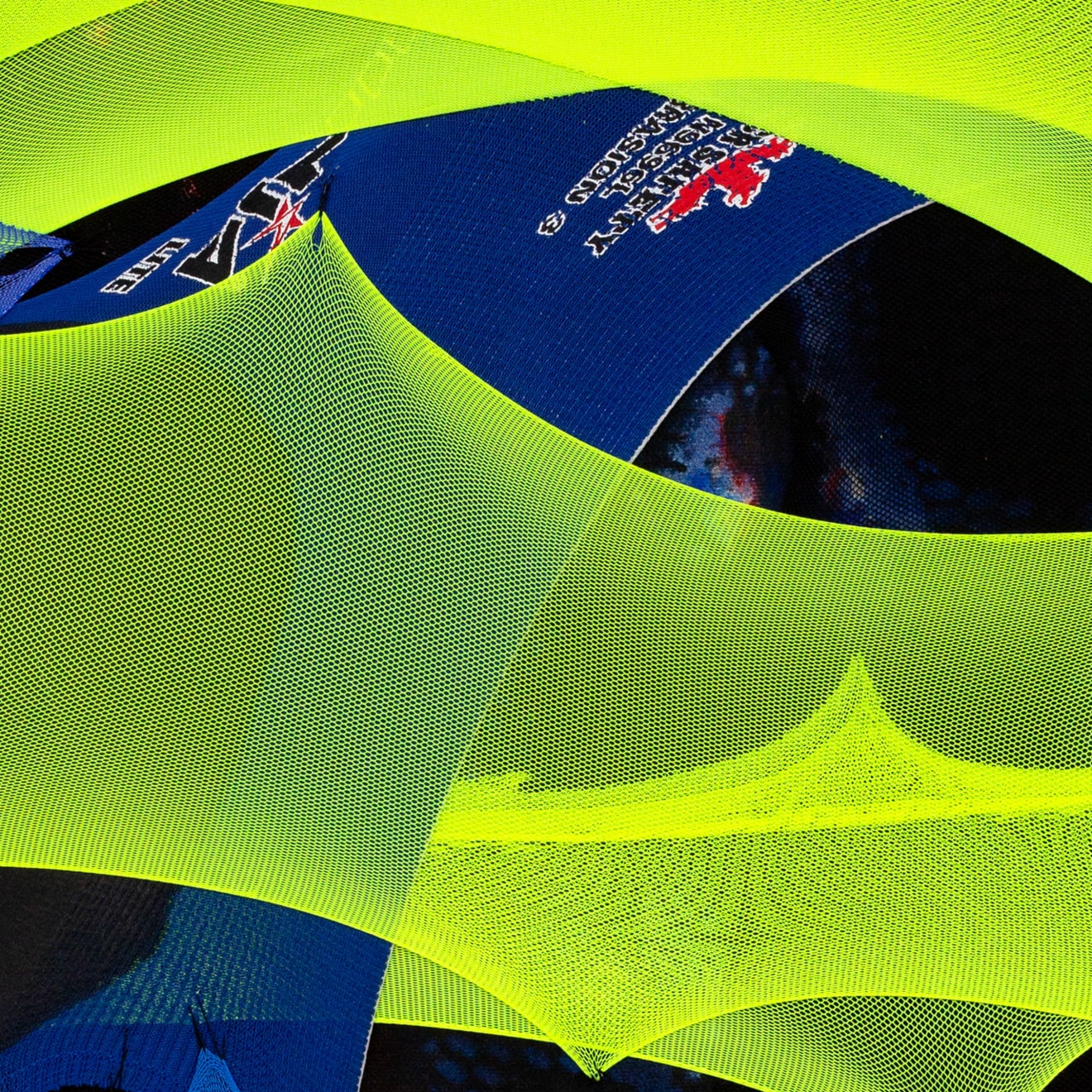 Sam Branden, CANARY MENACE, 2024