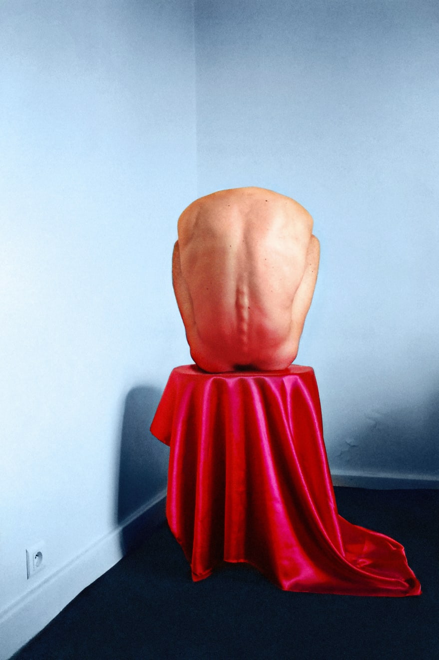 Brice Chatenoud, En attendant Robert, 2015