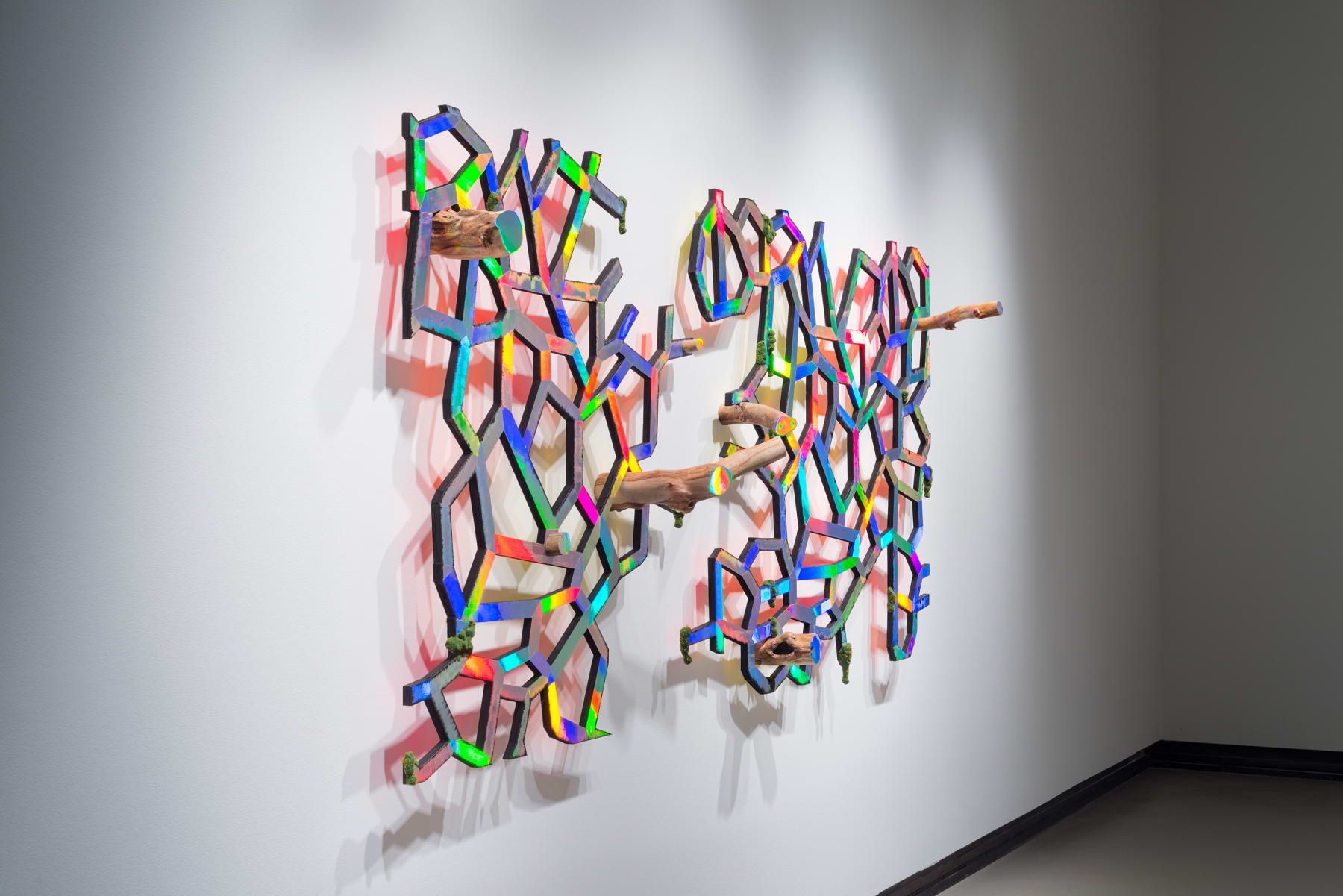 David Shaw, Net, 2017