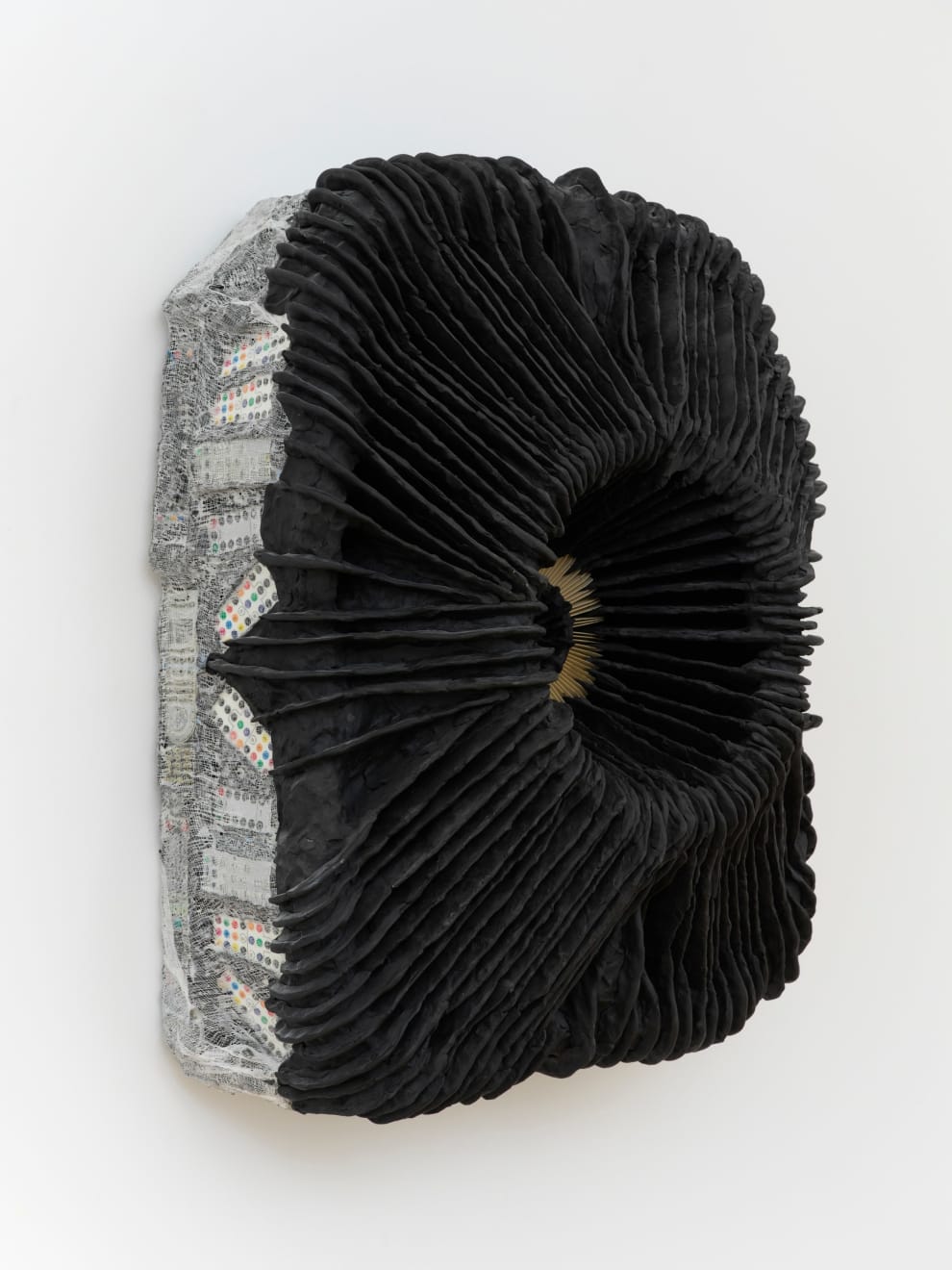 Whitney Oldenburg, Fade, 2023