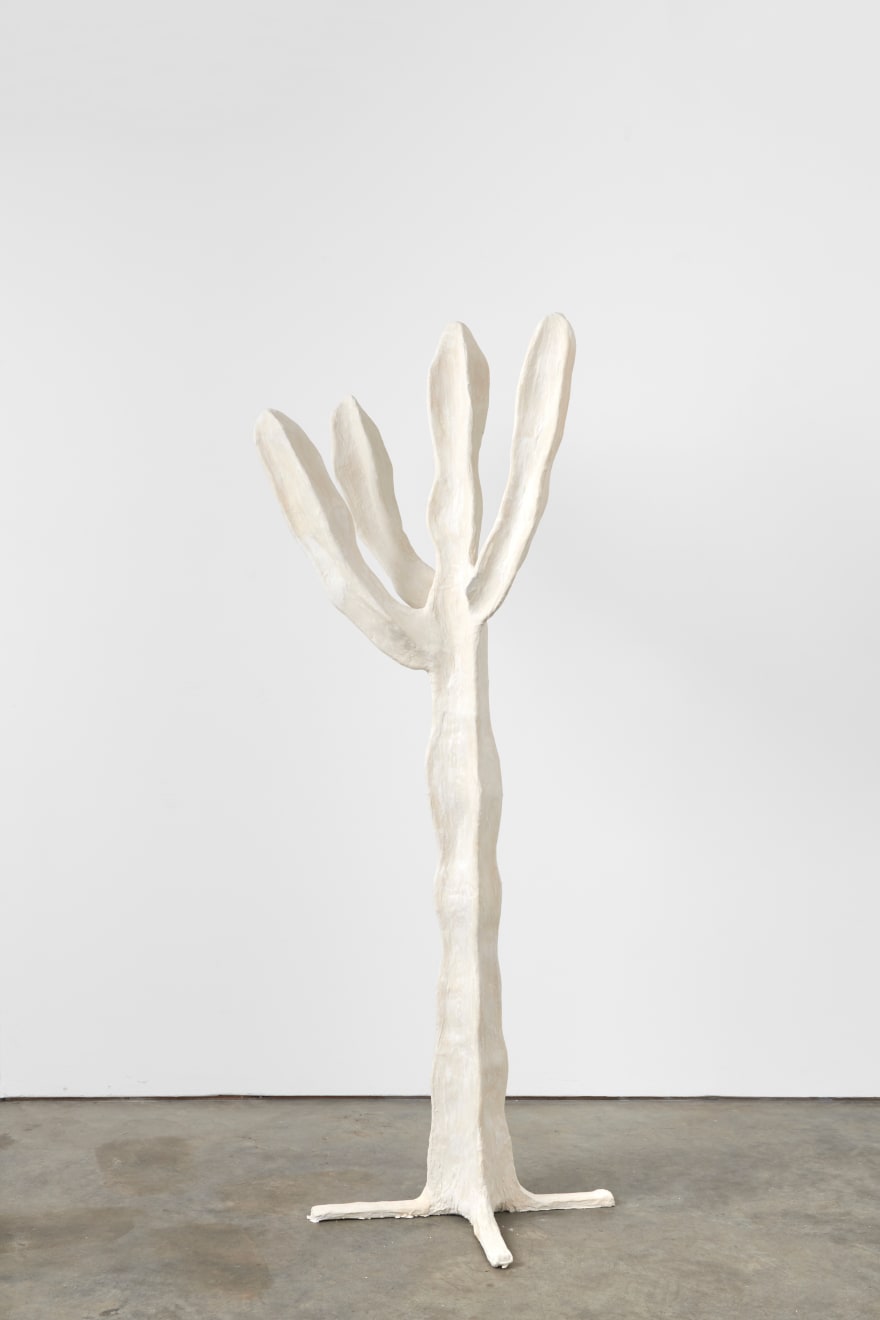 Joe Sweeney, Cacti 2, 2019